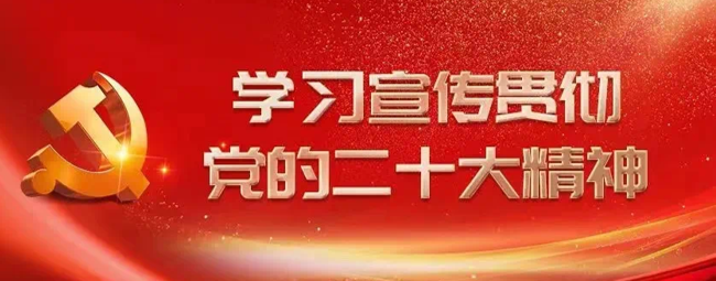 学习贯彻党的二十大精神